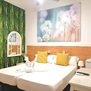 Habitación Estándar con 2 Camas Individuales